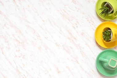 Düz lay yaratıcı yeşil Kupası, taşlar ve succulents mermer Resepsiyon renkli arka plan