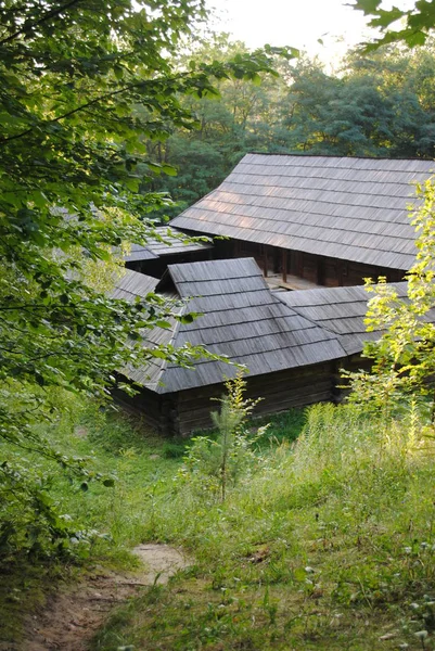 Village Historique National Faucons Ukrainiens Plein Air Kiev — Photo