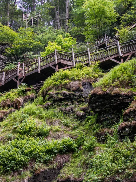 Houten wandelpad over een groene kloof in de zomer — Stockfoto