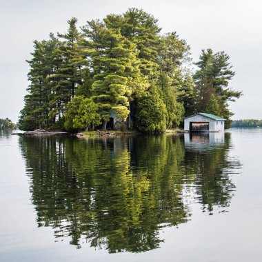Gölde yansıyan ağaçları ile küçük ada