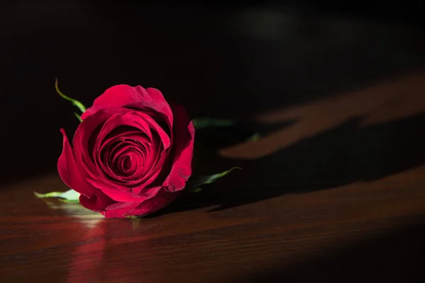 Single red rose on polished wood