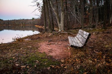 Doğu Pensilvanya 'daki Fransız Creek Eyalet Parkı' nda Scotts Run Lake 'e bakan tek bir bank var.