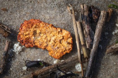 Jersey sahilinde su dolu turuncu bir malzeme ve kırık sazlıklar.