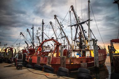 Şafak sökerken denize doğru giden bir yelkenli kuyruğu var ve gün doğumuna hazırlanıyorlar.