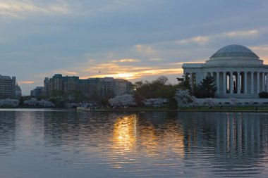 Thomas Jefferson Memorial gündoğumu Washington Dc, ABD'deki kiraz çiçeği Festivali sırasında. 
