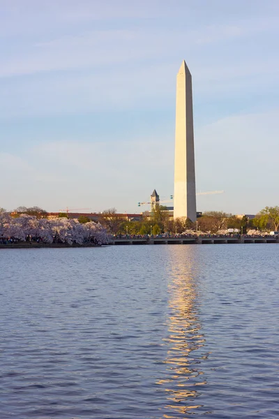 National Monument with blossoming cherry trees around Tidal Basin in Washington DC, USA. — Stock Photo, Image