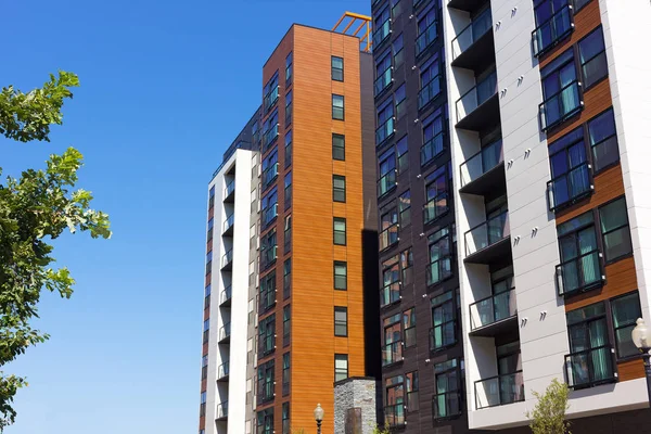 Green living in the city. — Stock Photo, Image