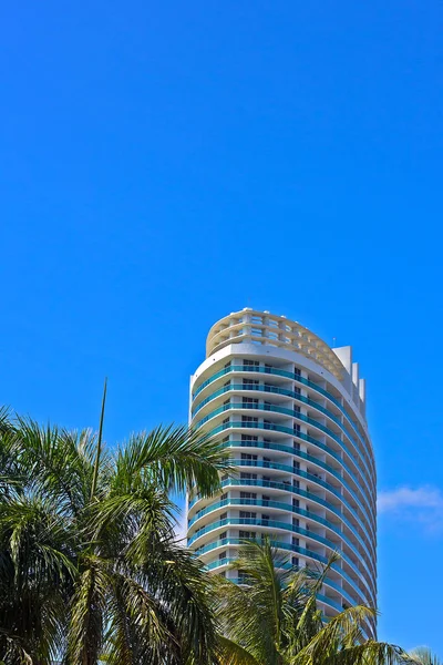 Rascacielos residenciales y palmeras contra el cielo azul brillante . — Foto de Stock