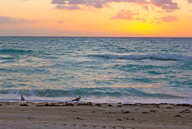 Sunrise okyanus Miami Beach. 