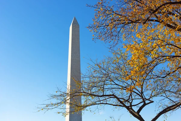 Nationaal Monument en de boom in de herfst gebladerte in Washington Dc, VS kapitaal. — Stockfoto