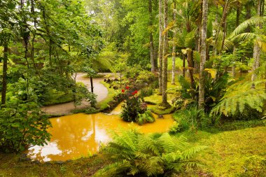 Su akışları ve flora çeşitliliği ile güzel Terra Nostra park. 