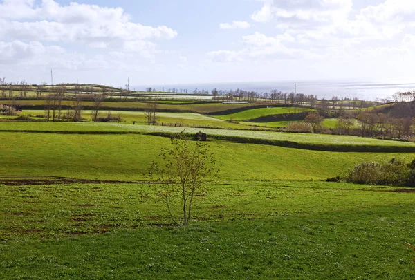 Sao miguel Insellandschaft im Spätherbst, Azoren, Portugal. — Stockfoto