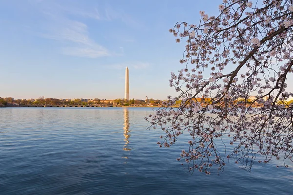 Washington Monument across Tidal Basin during cherry blossom festival. — Stock Photo, Image
