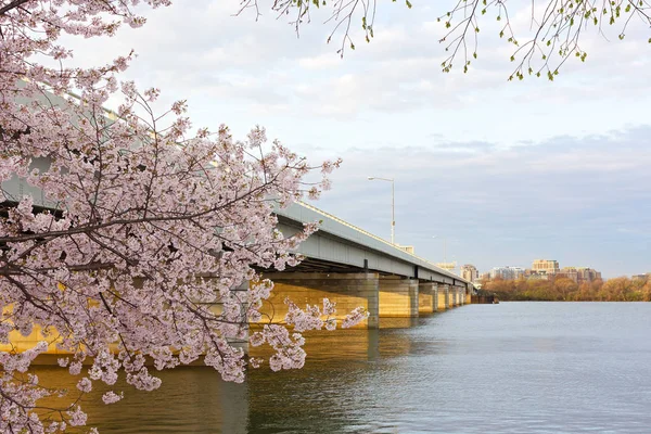 Brug over de Potomac rivier in de ochtend, Washington Dc, Verenigde Staten. — Stockfoto