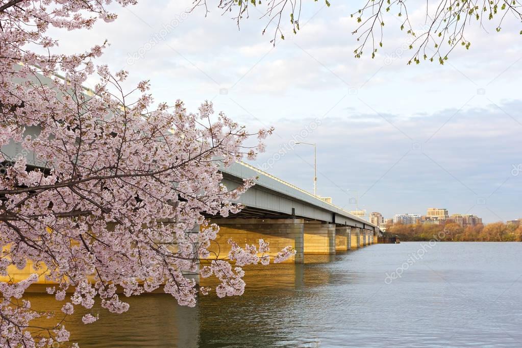Bridge across the Potomac River in the morning, Washington DC, USA.