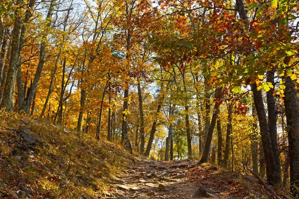 Appalačské stezka na podzim v Západní Virginii, Usa. — Stock fotografie