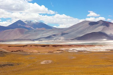 Renkli manzara Salar de Atacama, Chile. 