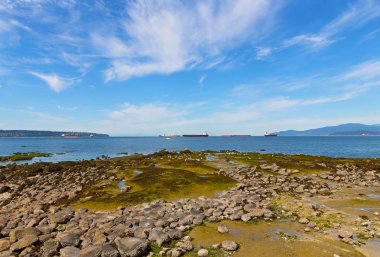 Düşük gelgit sırasında maruz deniz taşlarla manzara. 