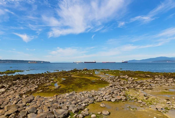 Düşük gelgit sırasında maruz deniz taşlarla manzara. 
