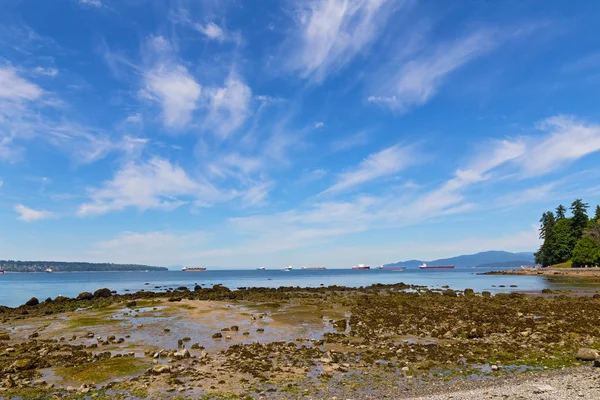 Yalı düşük tide Stanley Park, Vancouver, Kanada yakınındaki sırasında. 