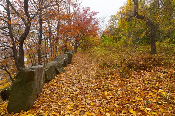 Un sendero en un bosque a lo largo de la orilla alta del río en el otoño . —  Fotos de Stock