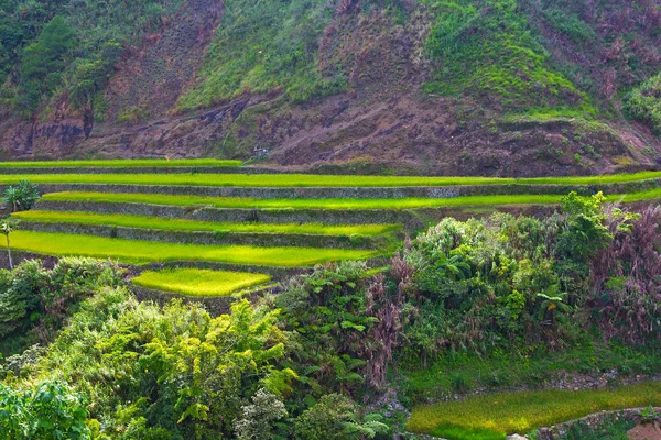 Bergtal mit Reisfeldern auf den Philippinen. — Stockfoto