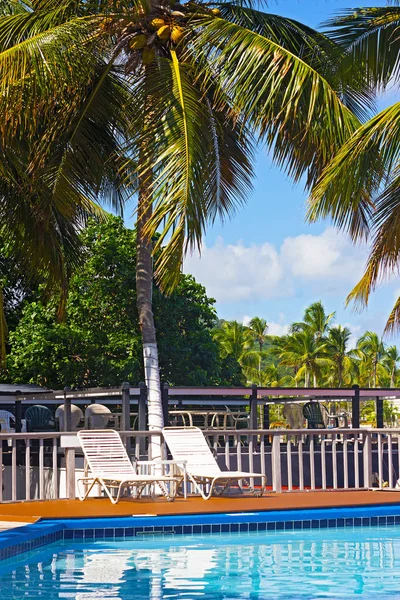 La mañana tranquila en el lado de la piscina debajo de las palmeras en la isla de Santo Tomás, USVI . — Foto de Stock