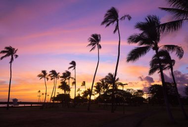 Waikiki Beach Hawaii, ABD deki renkli günbatımı. 