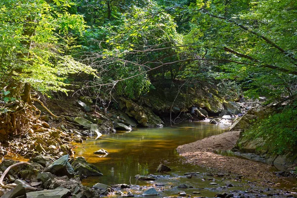 Yansımaları ile yaz aylarında küçük bir dere.