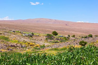 San Pedro de Atacama yatay yaz, Şili. 