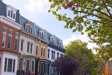 Sonbahar, Washington Dc, ABD konut bir banliyösünde. Lüks renkli townhouses yapraklı mahallede.