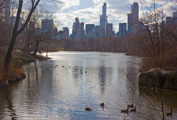 Paisagem Inverno New York Central Park Com Vista Para Horizonte — Fotografia de Stock