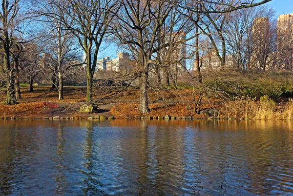 Alley Perto Lake Central Park Início Manhã Inverno Nova York — Fotografia de Stock