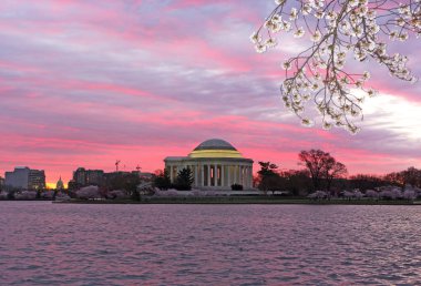 Washington DC, ABD kiraz çiçeği sezonu sırasında gündoğumu Thomas Jefferson Memorial ve ABD Capitol ile kentsel Panorama. Şafakta Tidal Havzası etrafında büyüyen kiraz ağaçları ile bahar manzara.