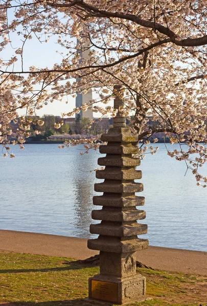 Japanese Stone Pagoda Washington Monument Cherry Blossom Washington Inglés Monumento — Foto de Stock