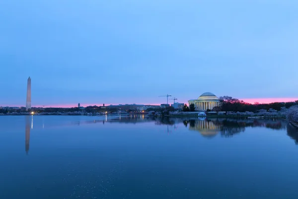 Panorama Fiori Ciliegio Intorno Bacino Tidal Washington Usa Fiori Abbondanza — Foto Stock