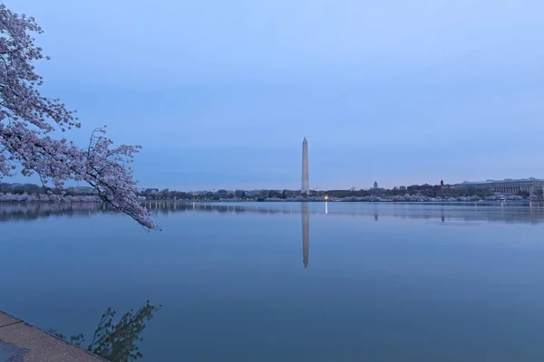 Washington Panorama Tidal Basin Sunrise Cherry Blossom Cherry Tree Branch — Stock Photo, Image