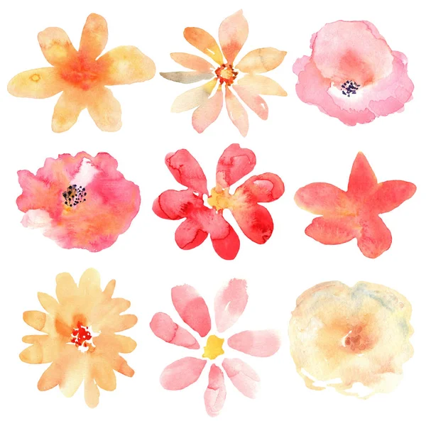 Conjunto floral. Colección con flores, dibujo acuarela . — Foto de Stock