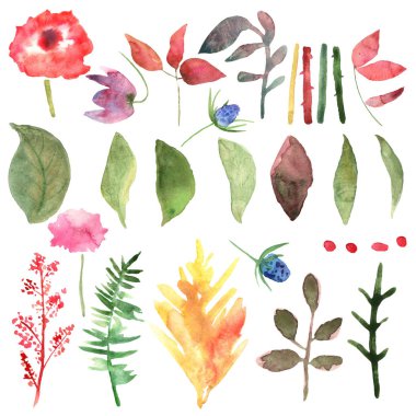 Çiçek kümesi. Çiçekli, suluboya resim koleksiyonu.