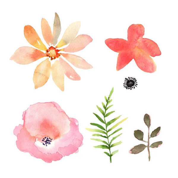 Blommig set. Samling med blommor, teckning akvarell. Design — Stockfoto