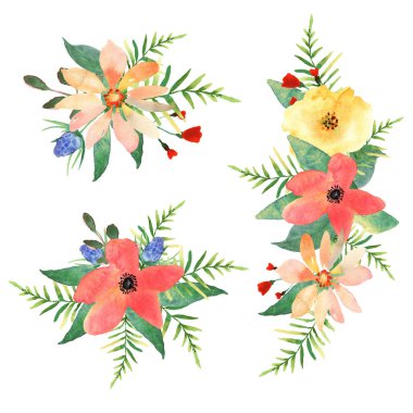 Çiçek kümesi. Çiçekli, suluboya resim koleksiyonu. Tasarım