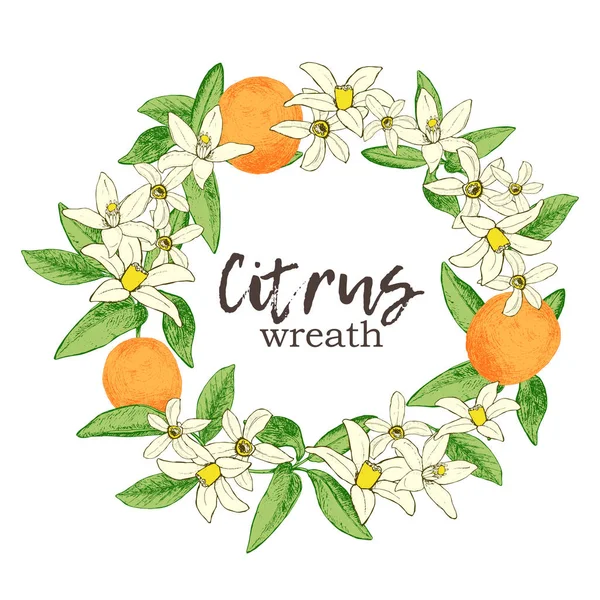 Φρούτα στεφάνι με απομονωμένες χέρι που τα πορτοκάλια και τα λουλούδια στο ΣΚΕ — Διανυσματικό Αρχείο