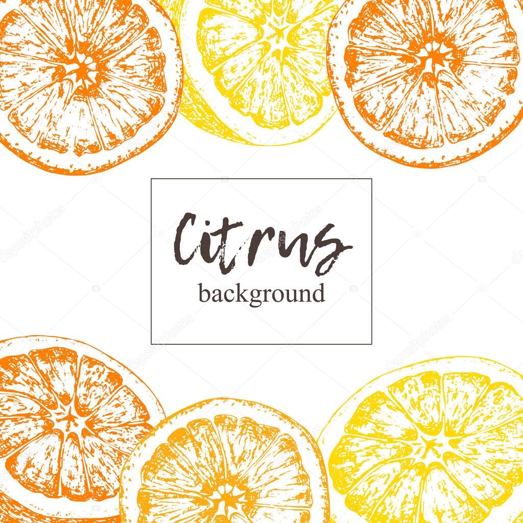 Set of isolated hand drawn oranges and lemons. Vector.