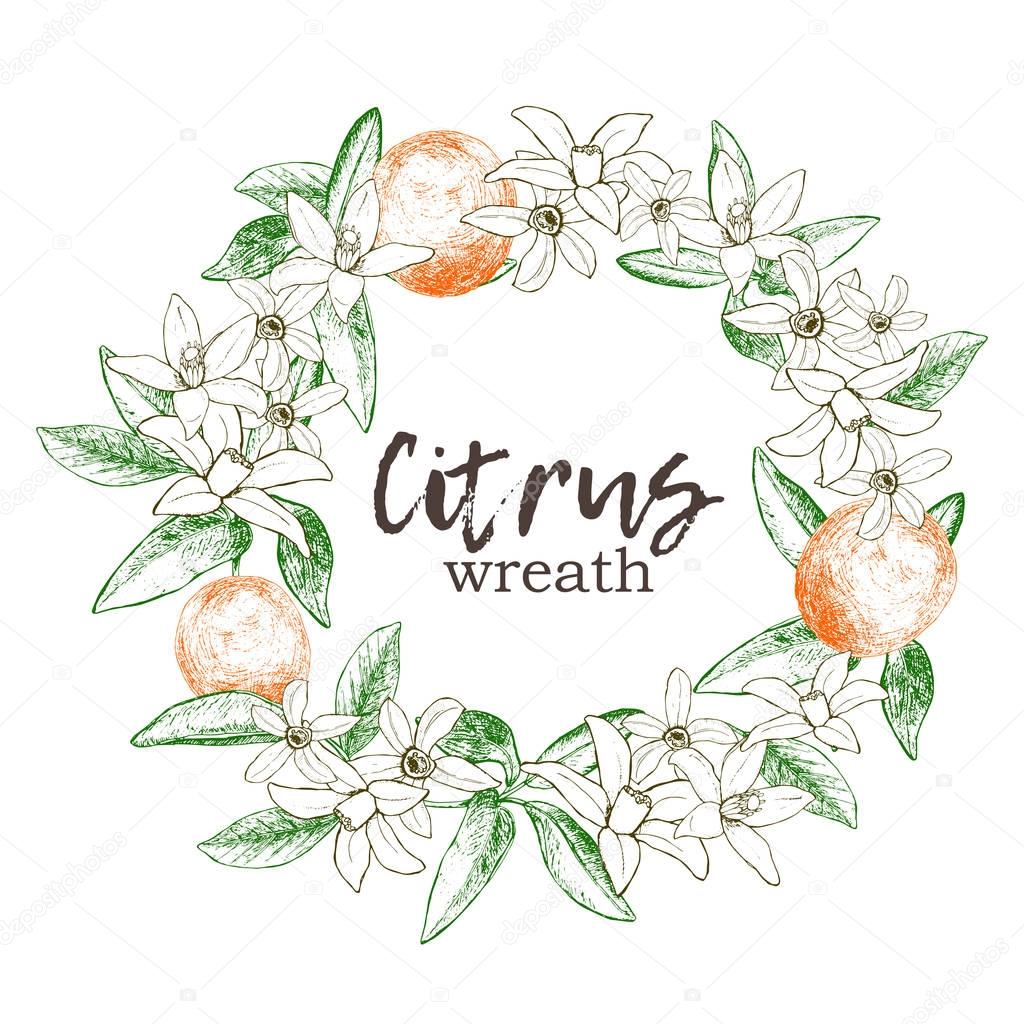 Download Fruit wreath with isolated hand drawn oranges and flowers ...