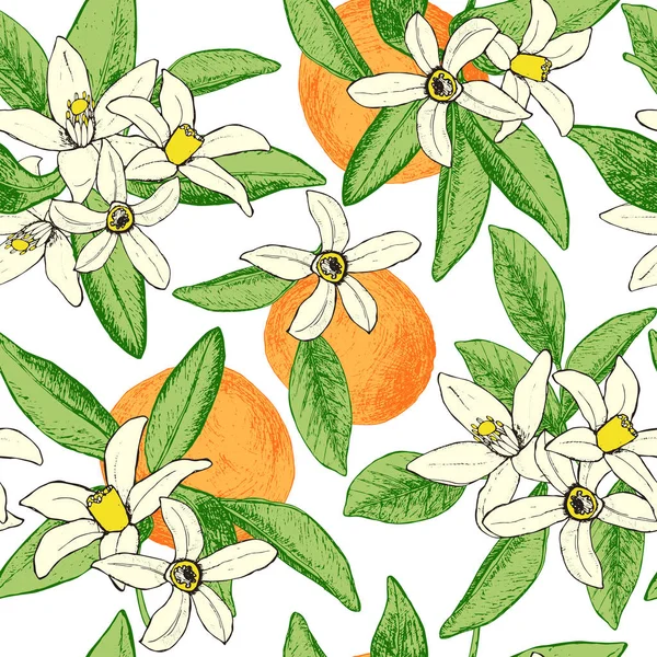 Modèle sans couture d'oranges et de fleurs dessinées à la main isolées en s — Image vectorielle