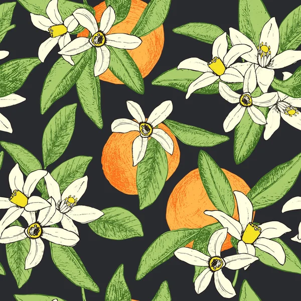 Modèle sans couture d'oranges et de fleurs dessinées à la main isolées en s — Image vectorielle