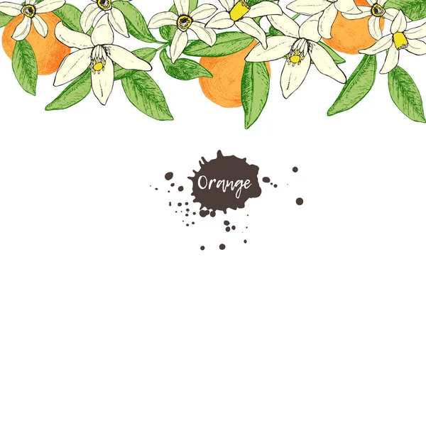 격리 된 손으로 과일 프레임 스 켓에 오렌지와 꽃을 그린 — 스톡 벡터