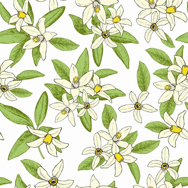 Ressort floral motif sans couture de fleurs isolées dessinées à la main dans — Image vectorielle
