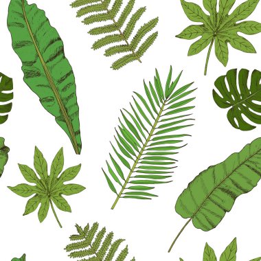 Floral seamless pattern. Collection with tropical leafs in sketc clipart
