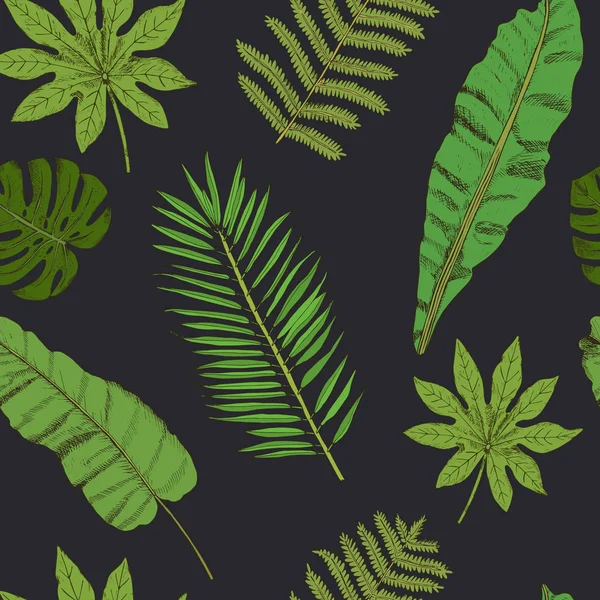 Patrón sin costura floral. Colección con hojas tropicales en sketc — Vector de stock